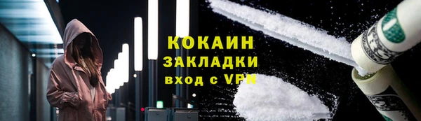 индика Снежинск