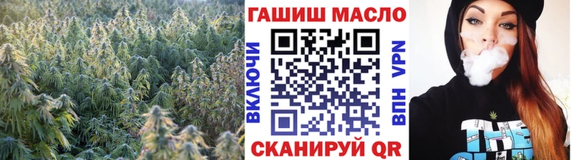 ТГК Wax  Купить где  Старица 