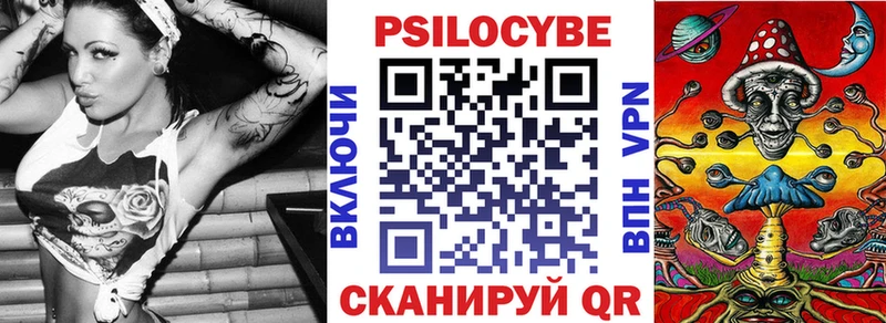 Купить закладки  Старица  Галлюциногенные грибы Psilocybine cubensis 
